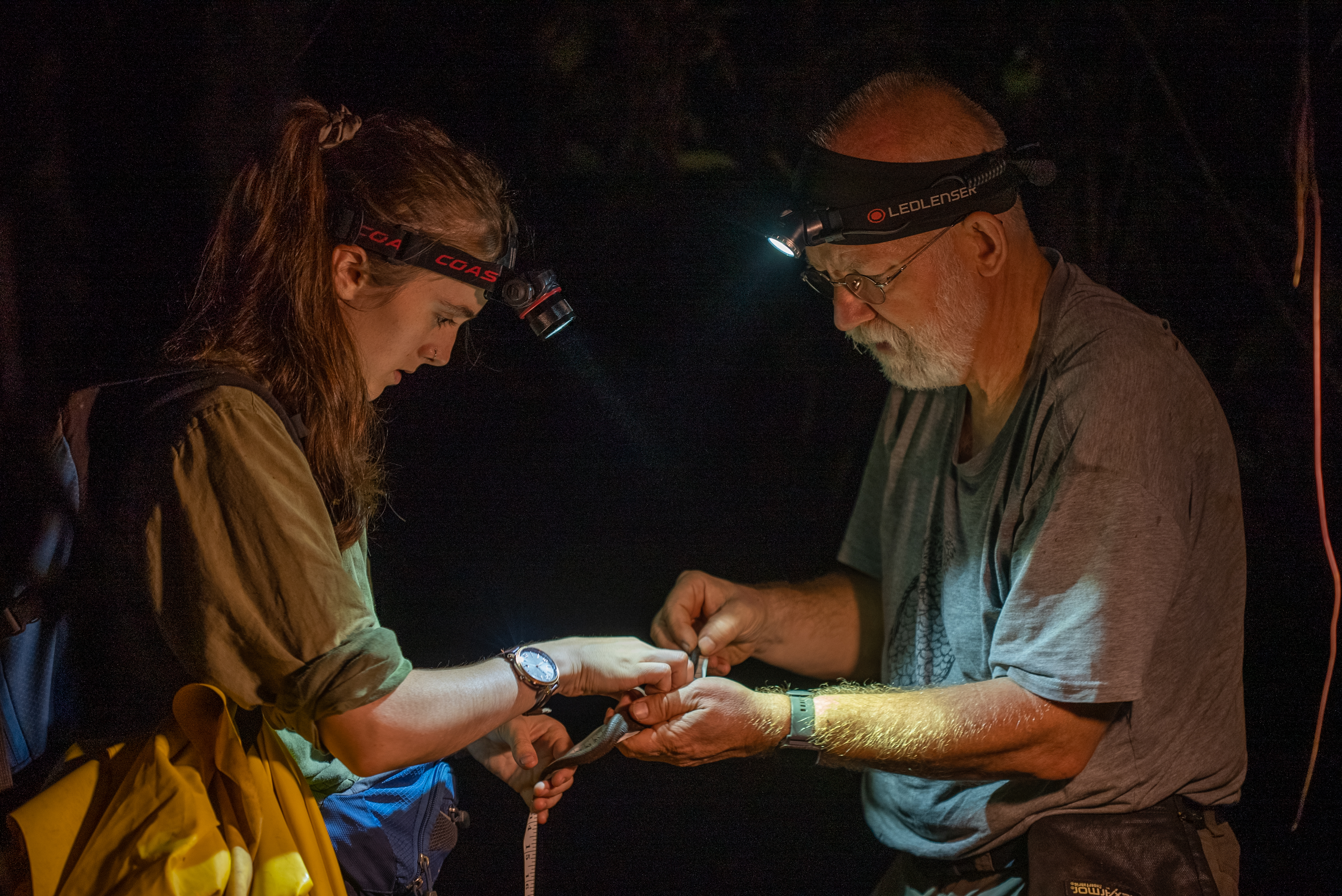La recuperación del Chocó: Una red de interacciones que renuevan la esperanza